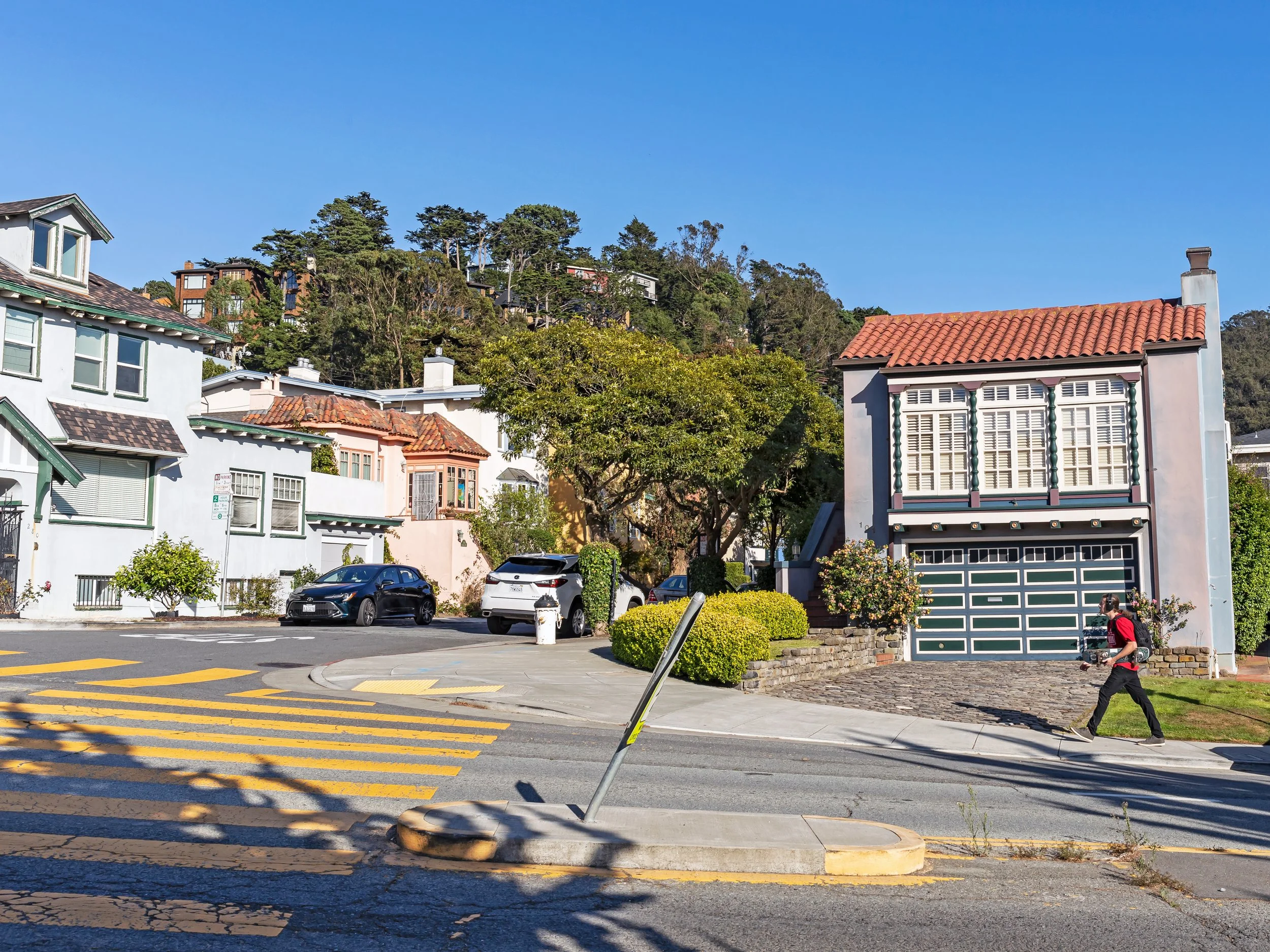tripsavvy_mtdavidson_sf3.jpg