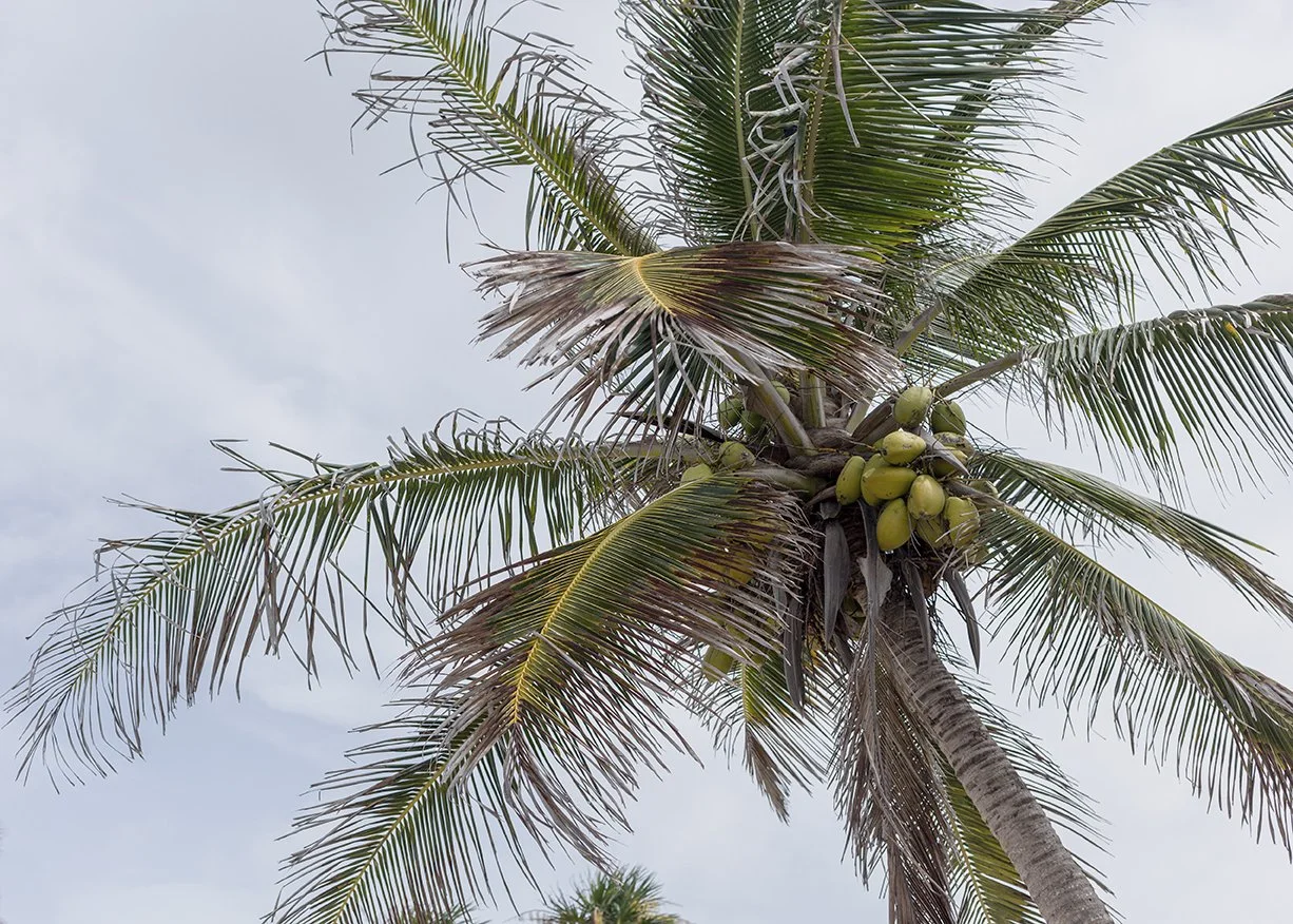 2017_tulum_37 copy.jpg