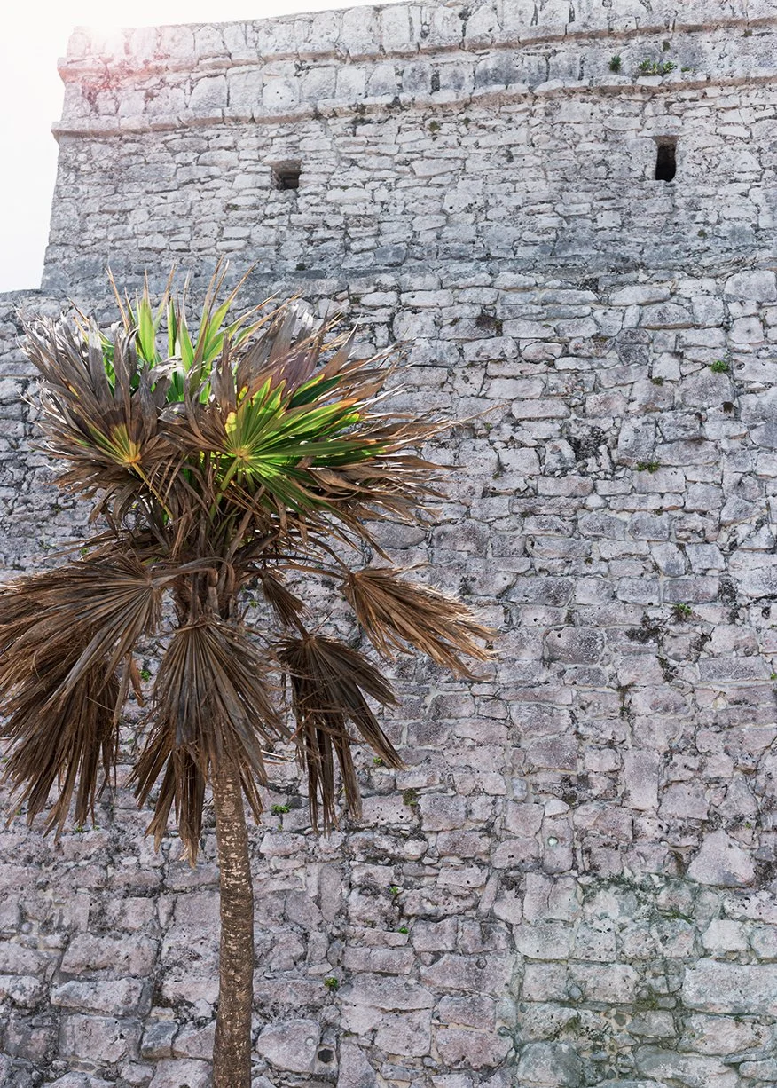 2017_tulum_29 copy.jpg