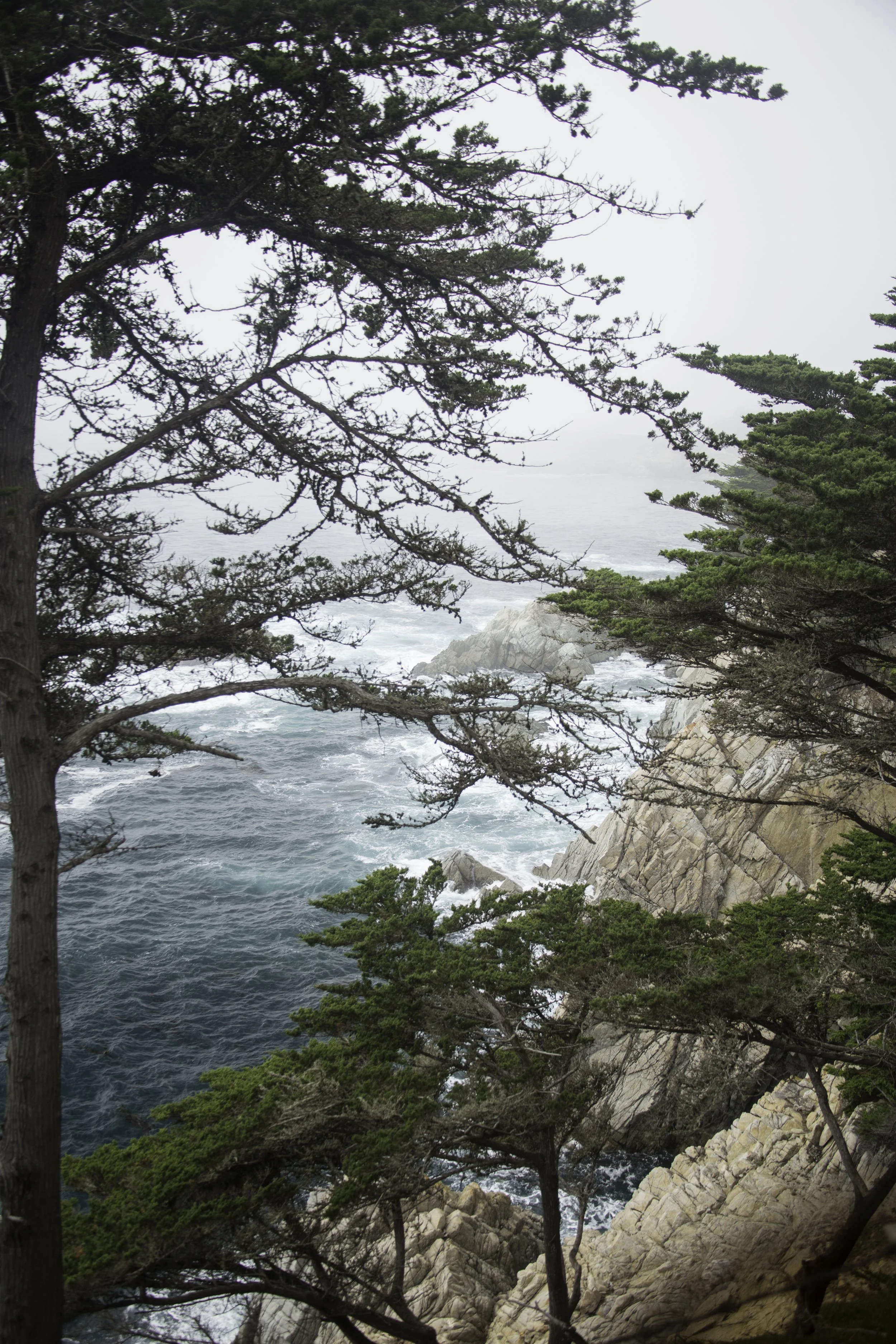 bigsurcliff_4.jpg