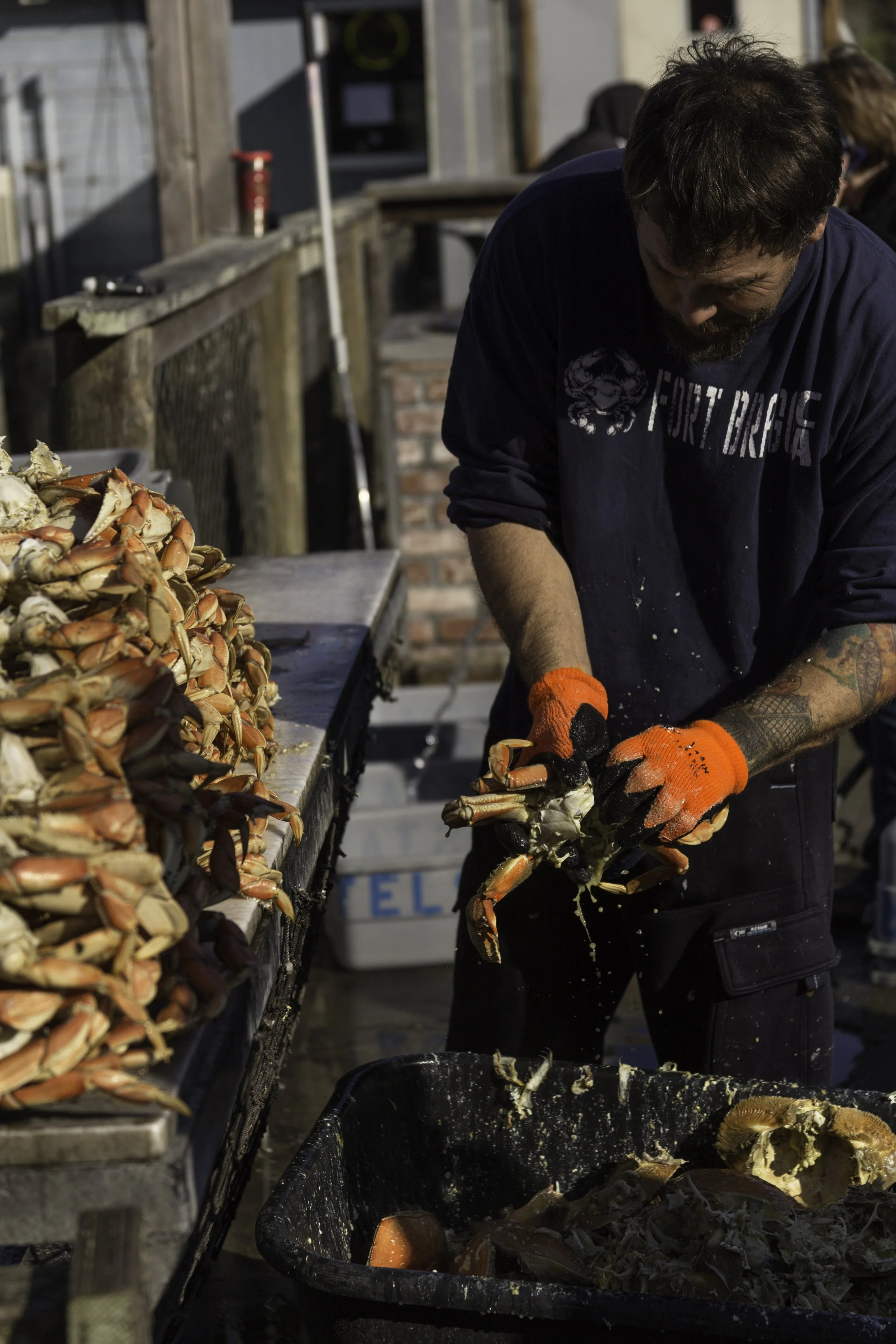 crab_shack_19.jpg