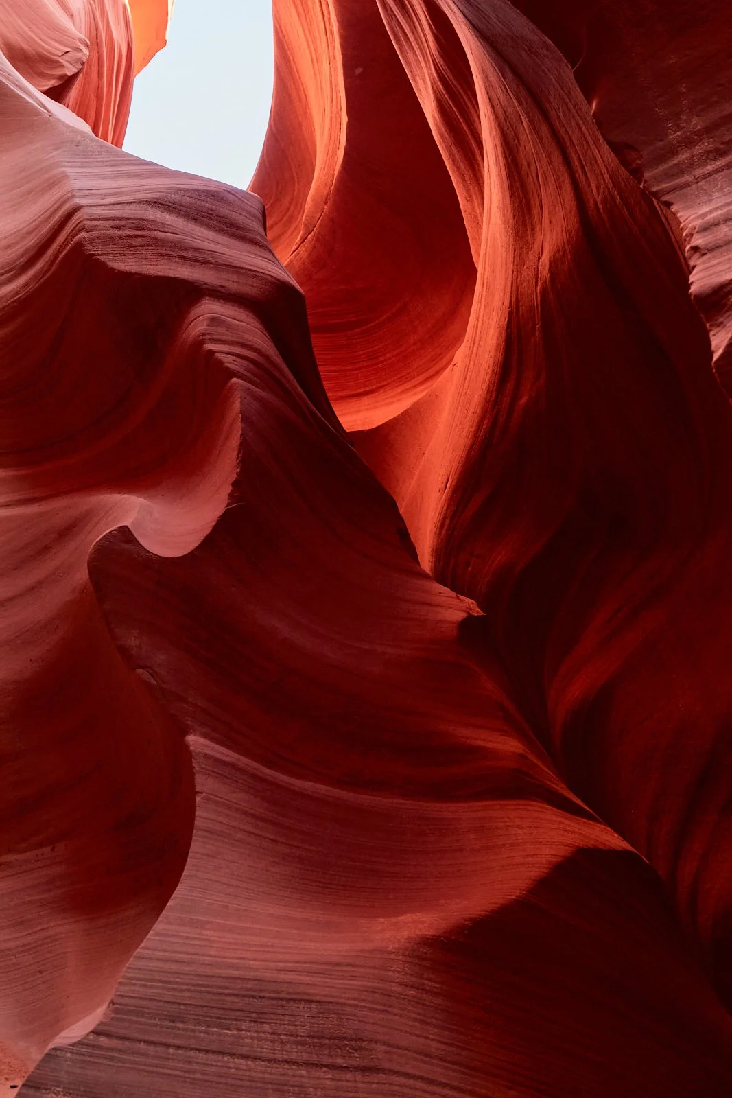 MelissaZink-Travel-Arizona33.jpg