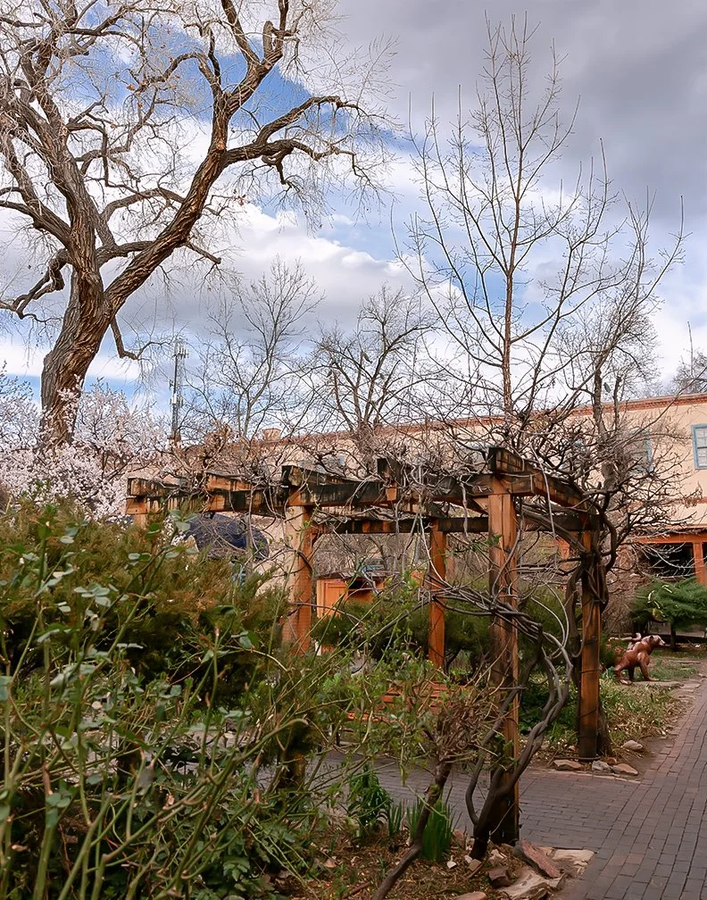 pergola_color.jpg