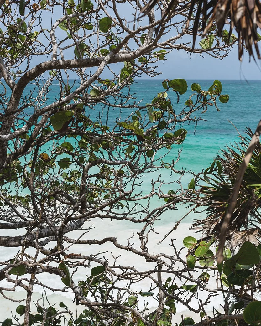 2017_tulum_32 copy.jpg