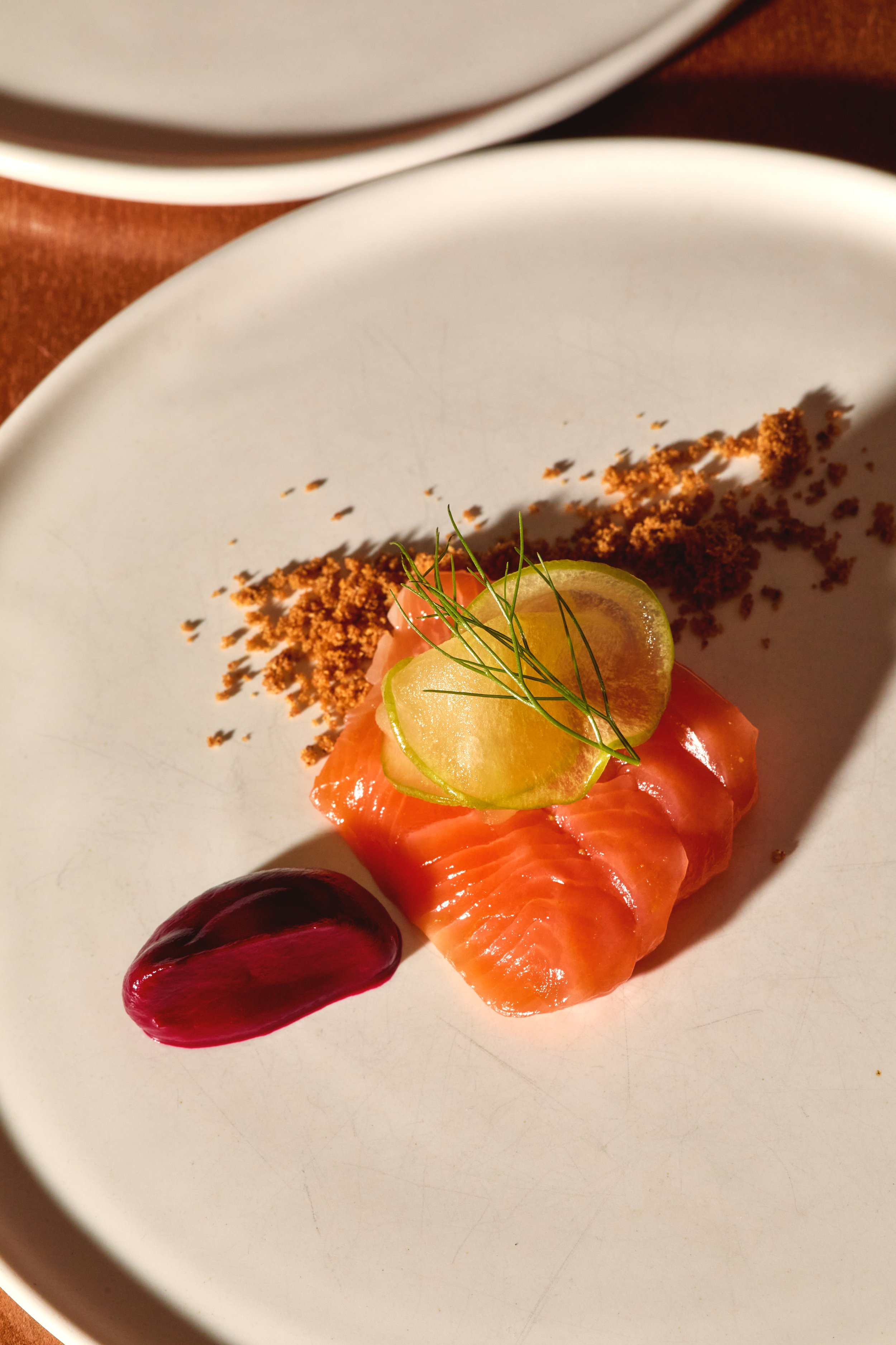 A plate with a slice of salmon topped with thin slices of cucumber and garnished with dill, accompanied by a dollop of red sauce and a bed of brown crumbs.