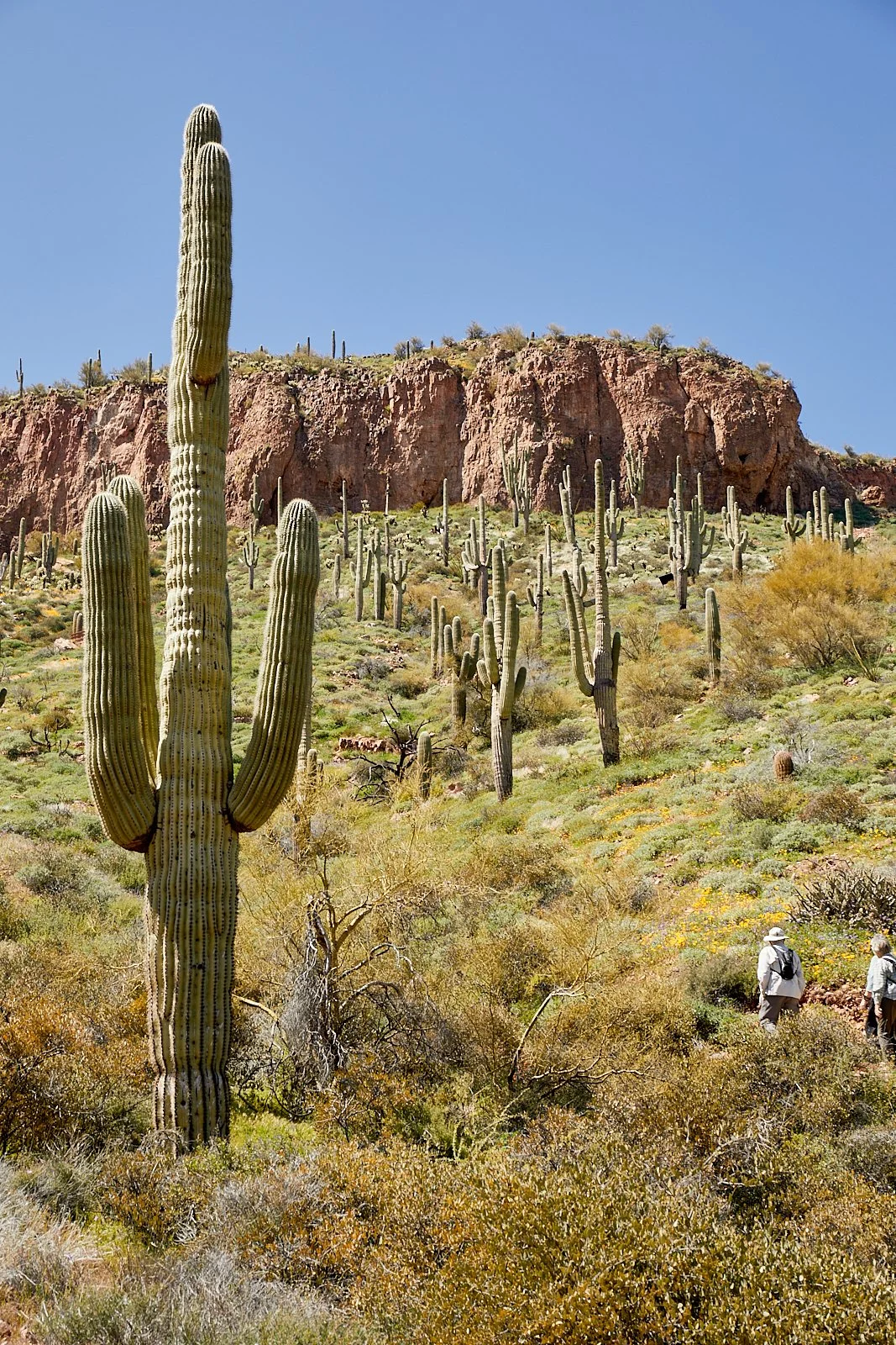 MelissaZink-Travel-Arizona01.jpg
