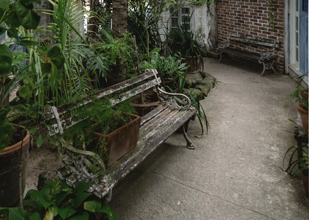 2017_tulum_22 copy.jpg
