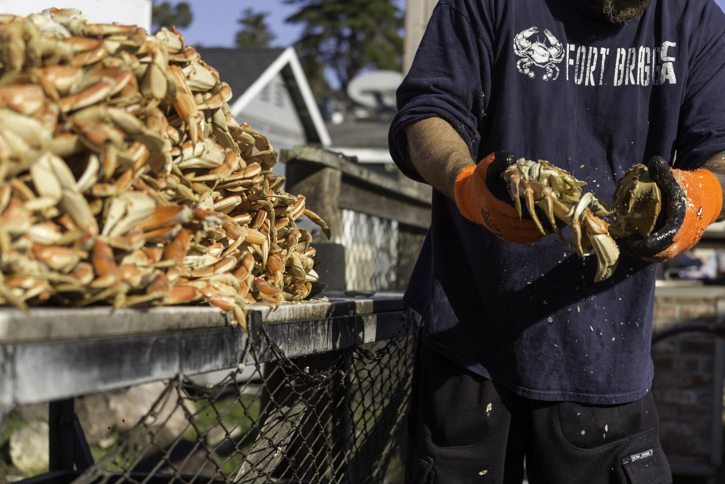 crab_shack_16.jpg