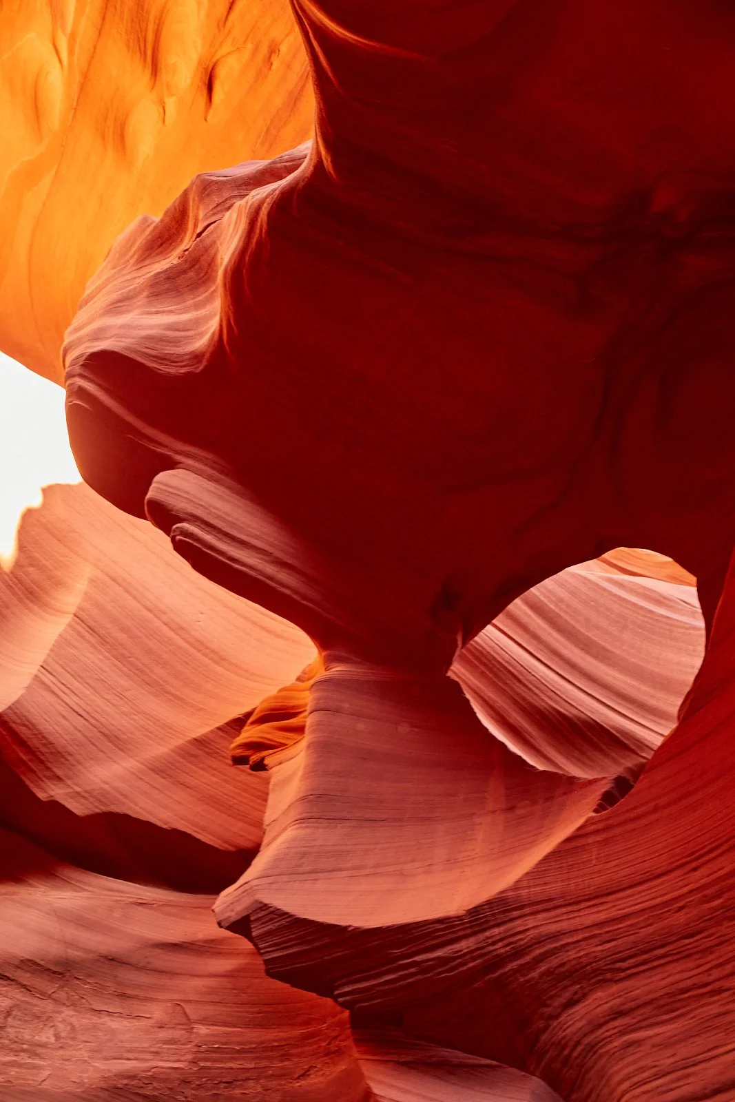 MelissaZink-Travel-Arizona34.jpg
