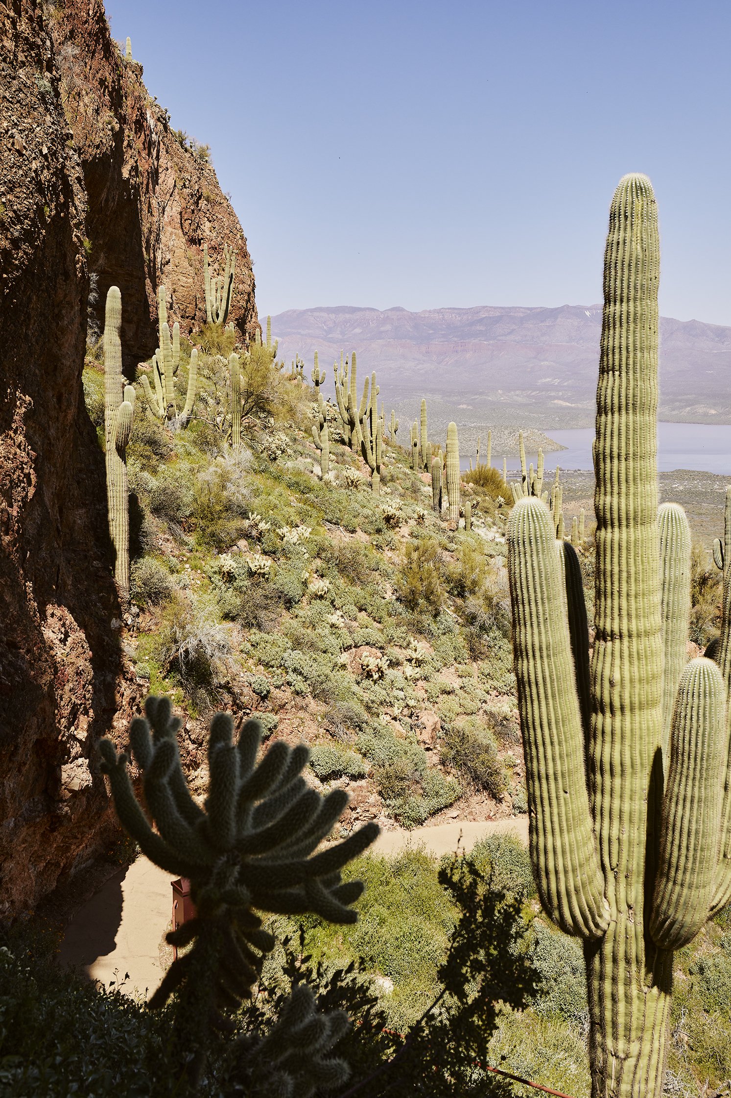MelissaZink-Travel-Arizona04.jpg