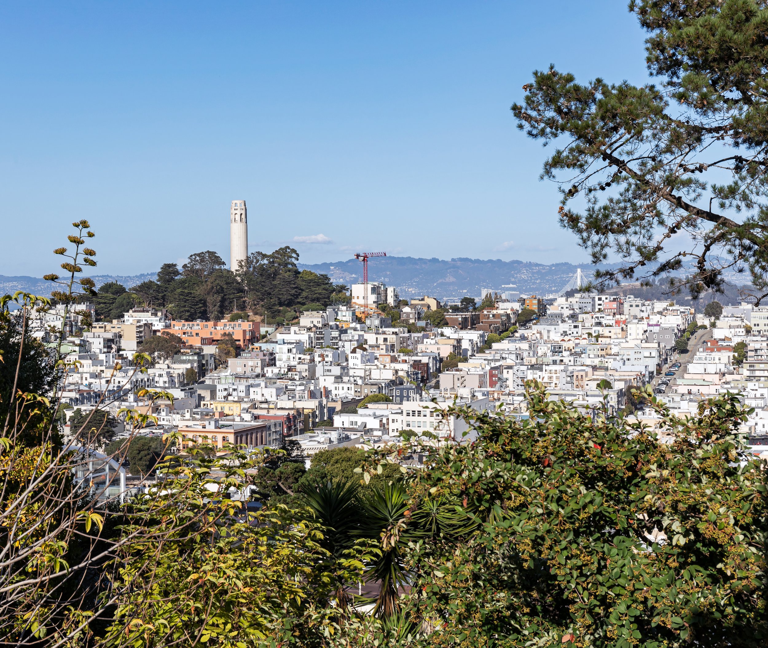 tripsavvy_telegraphhill_sf1.jpg