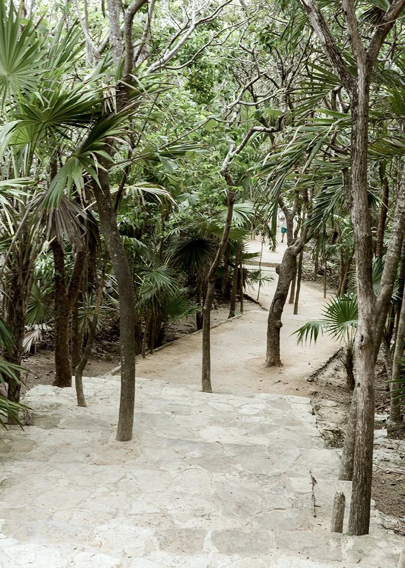 2017_tulum_35 copy.jpg