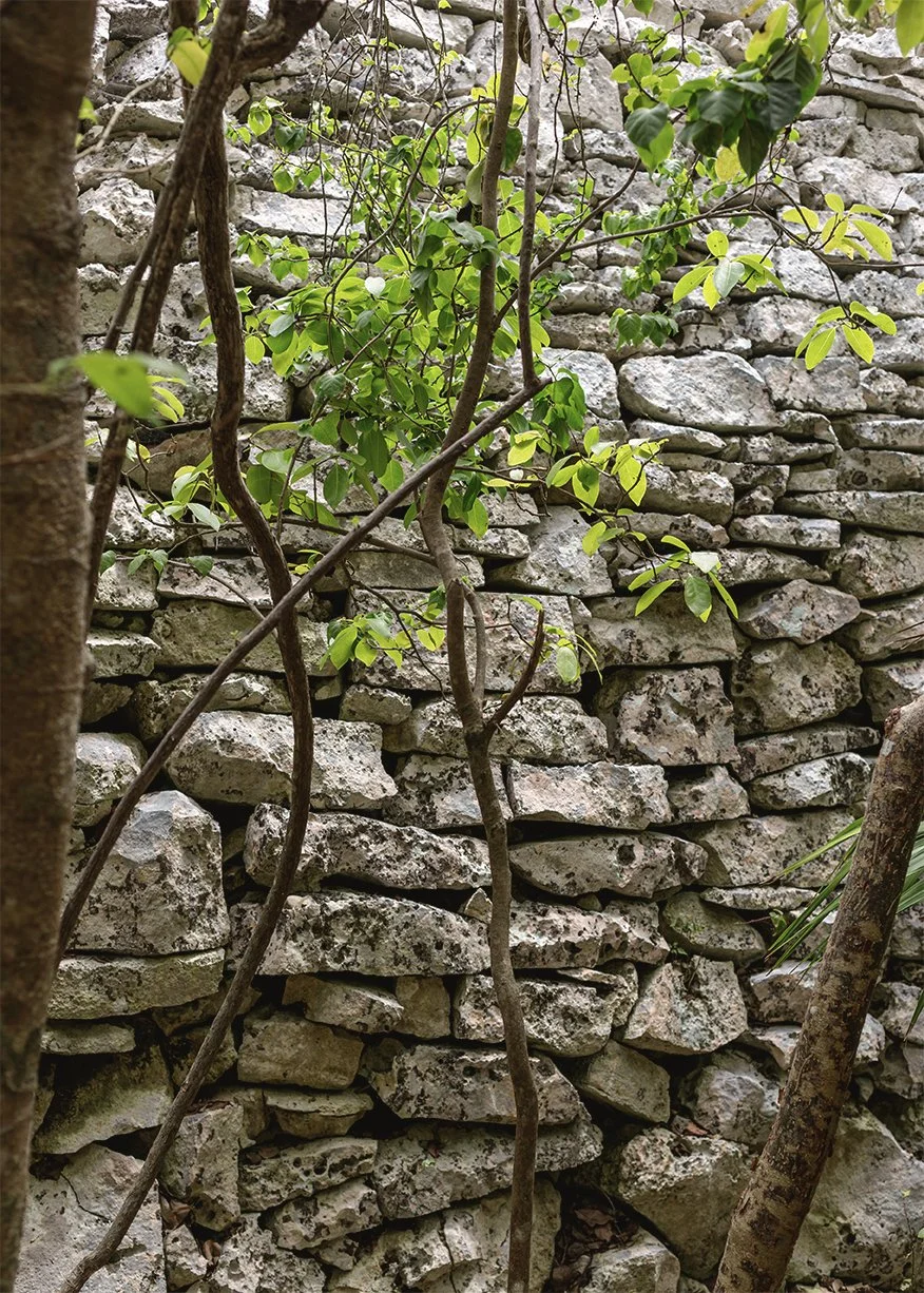 2017_tulum_36 copy.jpg