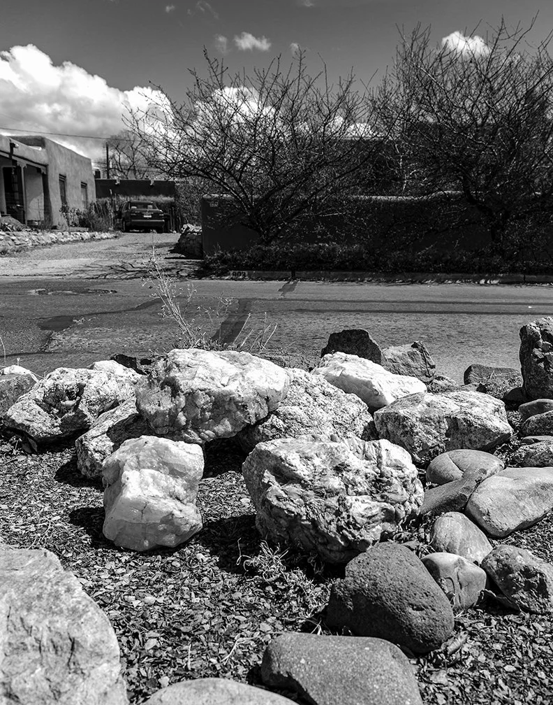 rock_garden_bnw.jpg
