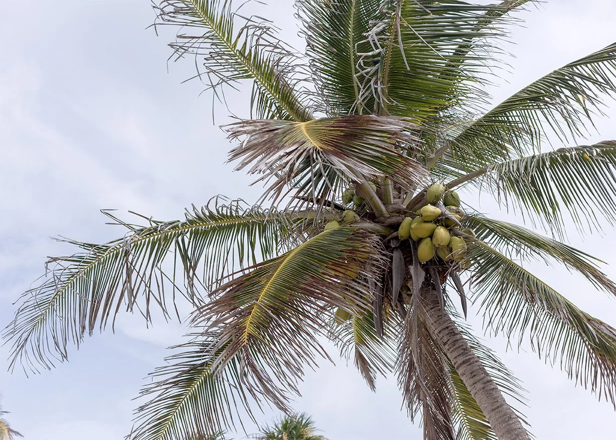 2017_tulum_55.jpg