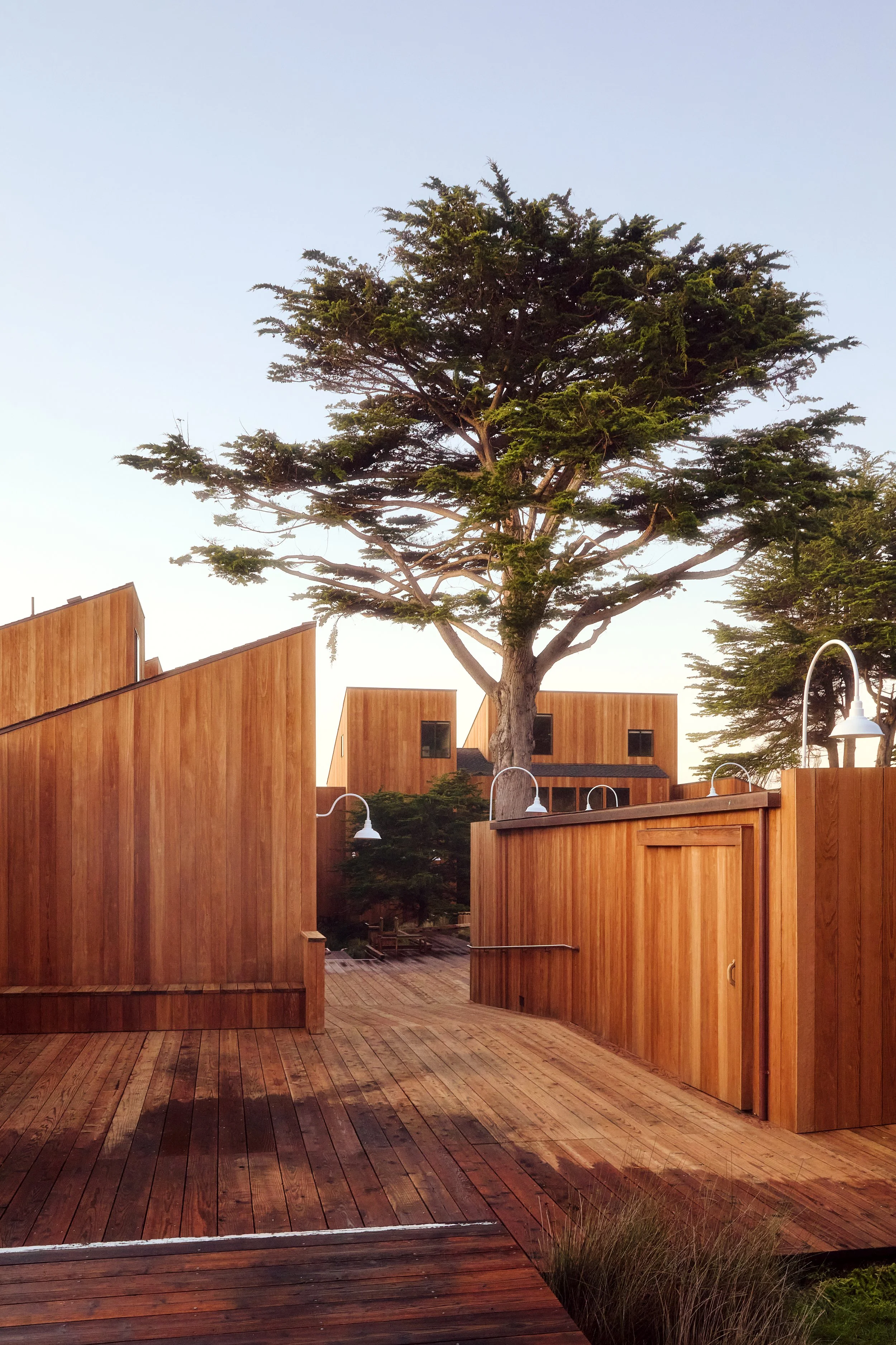 A wooden deck with modern wooden houses and a large tree in the background, taken during the daytime.