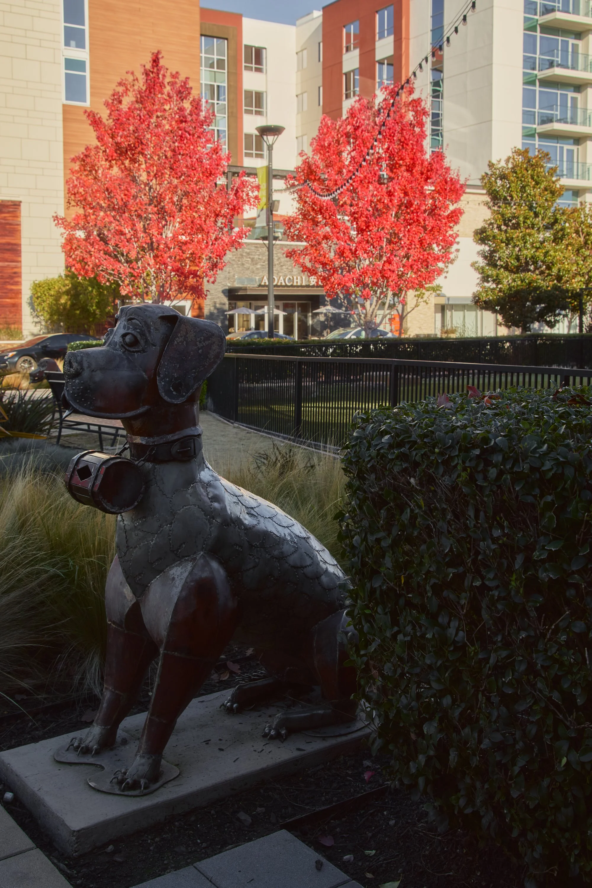 San Francisco Food, Beverage, Hospitality Photographer - Sushi Adachi