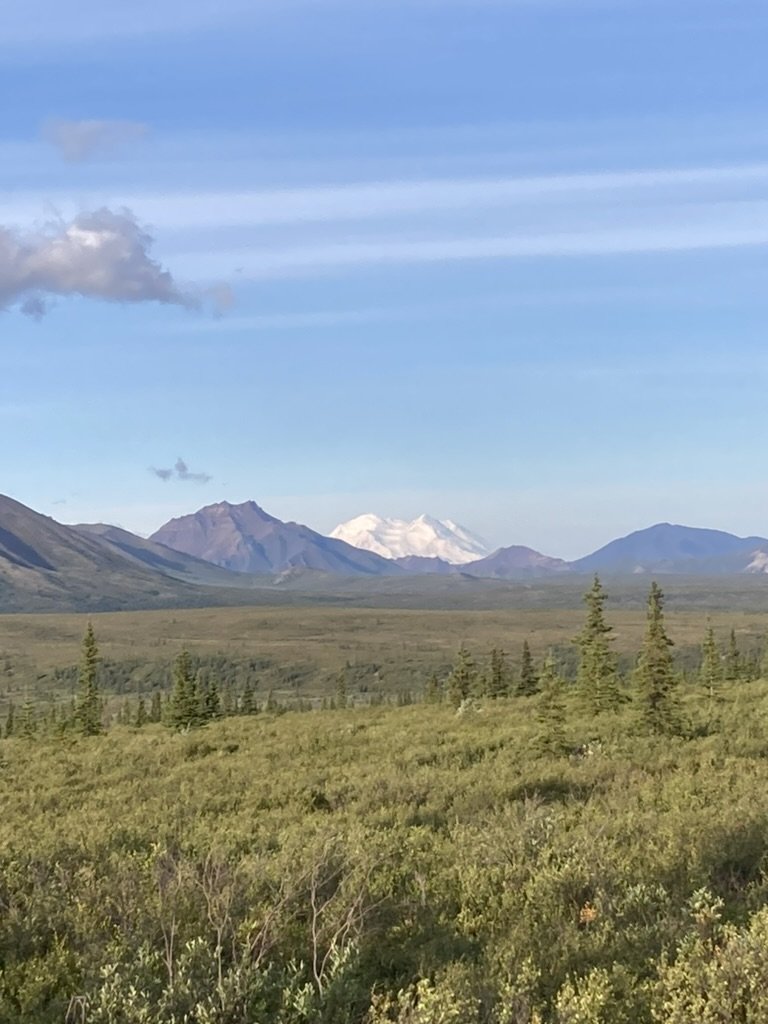 4092B695-0A4B-4079-8D59-BDF66295613A_1_105_c.jpeg