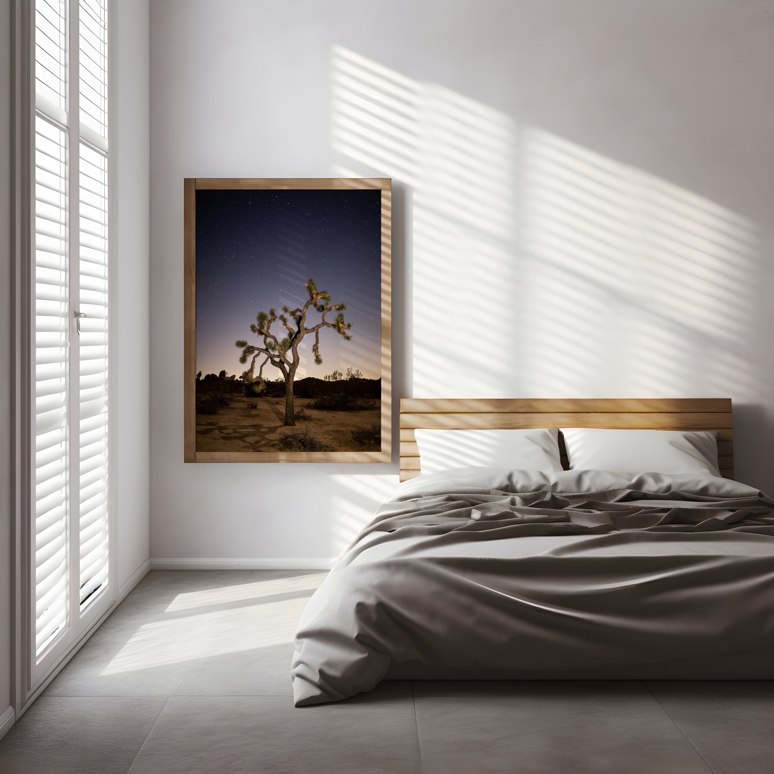 Product_Joshua Tree Night_Frame 1.jpg