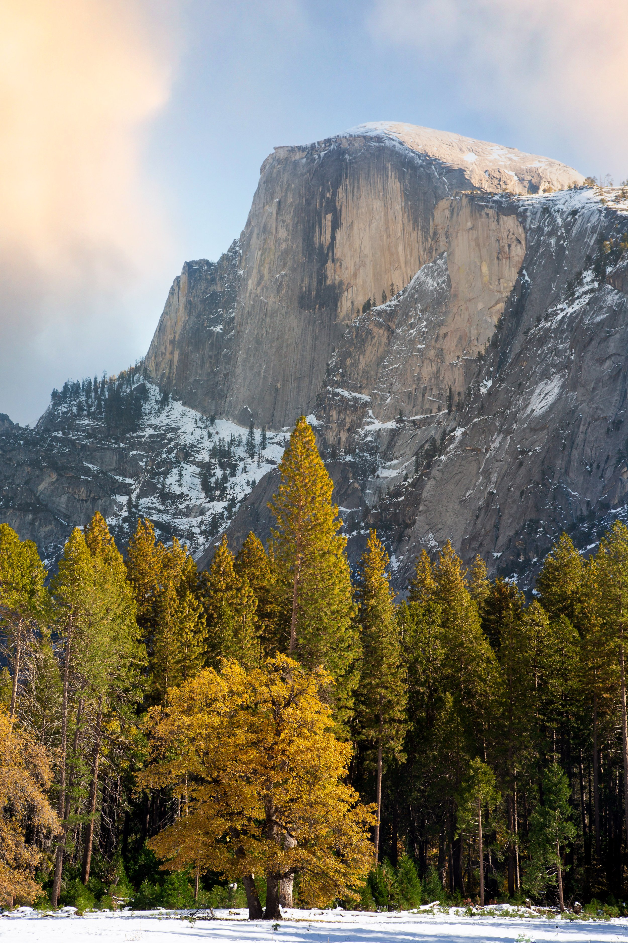 Product_Half Dome.jpg