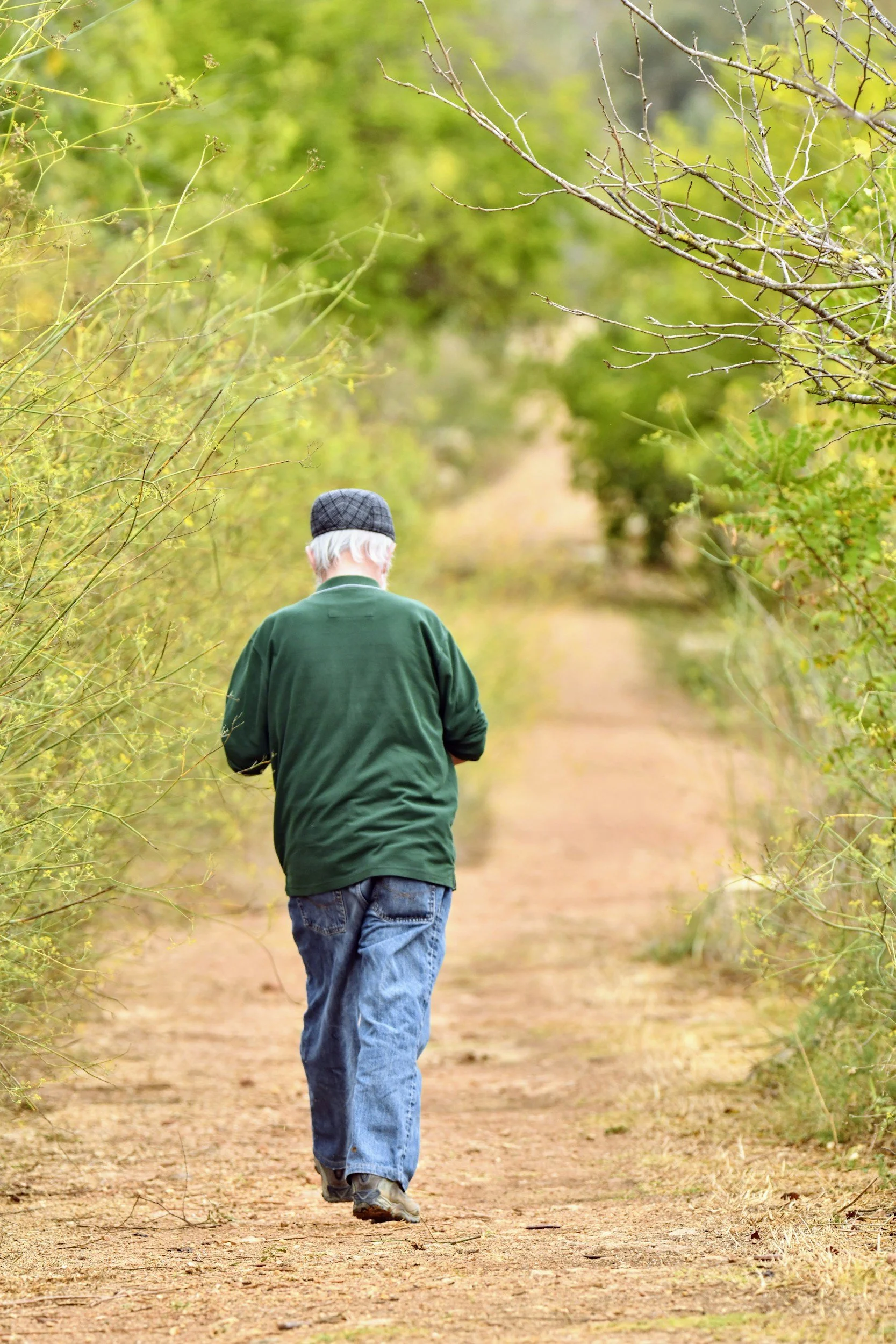 An elderly man walking down a dirt path surrounded by green foliage on a sunny day.