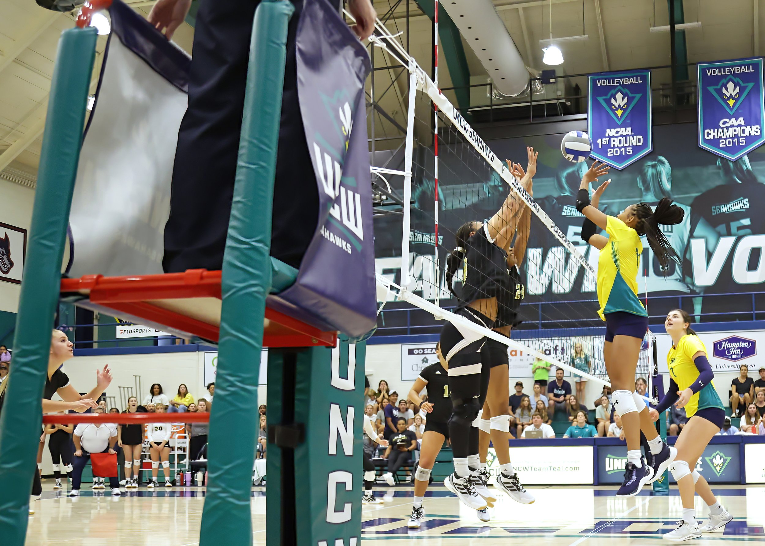 UNCW VB v Queens8282DMN.jpg