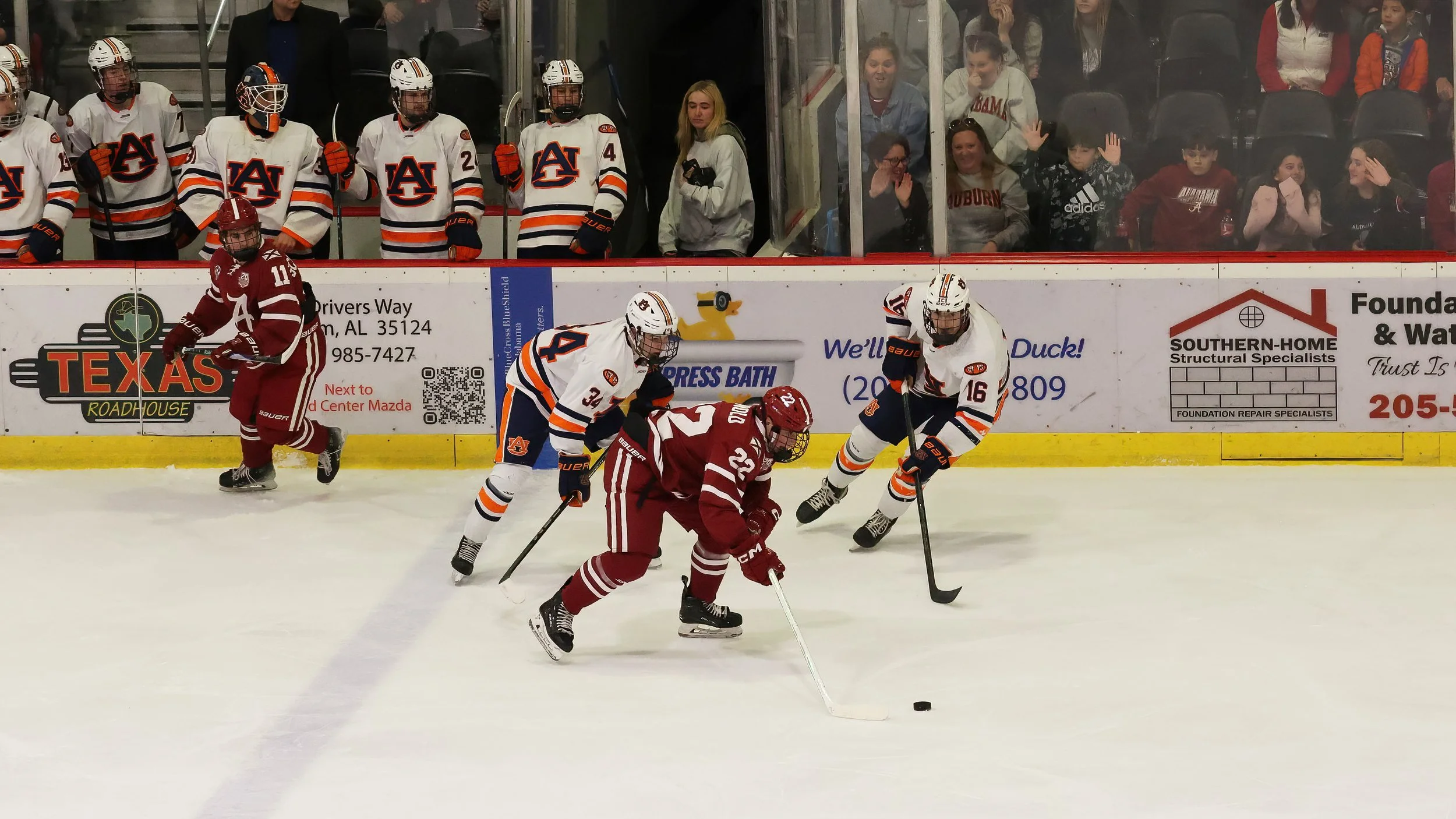 BamaHockeyvAubun 4197.DMN.jpg