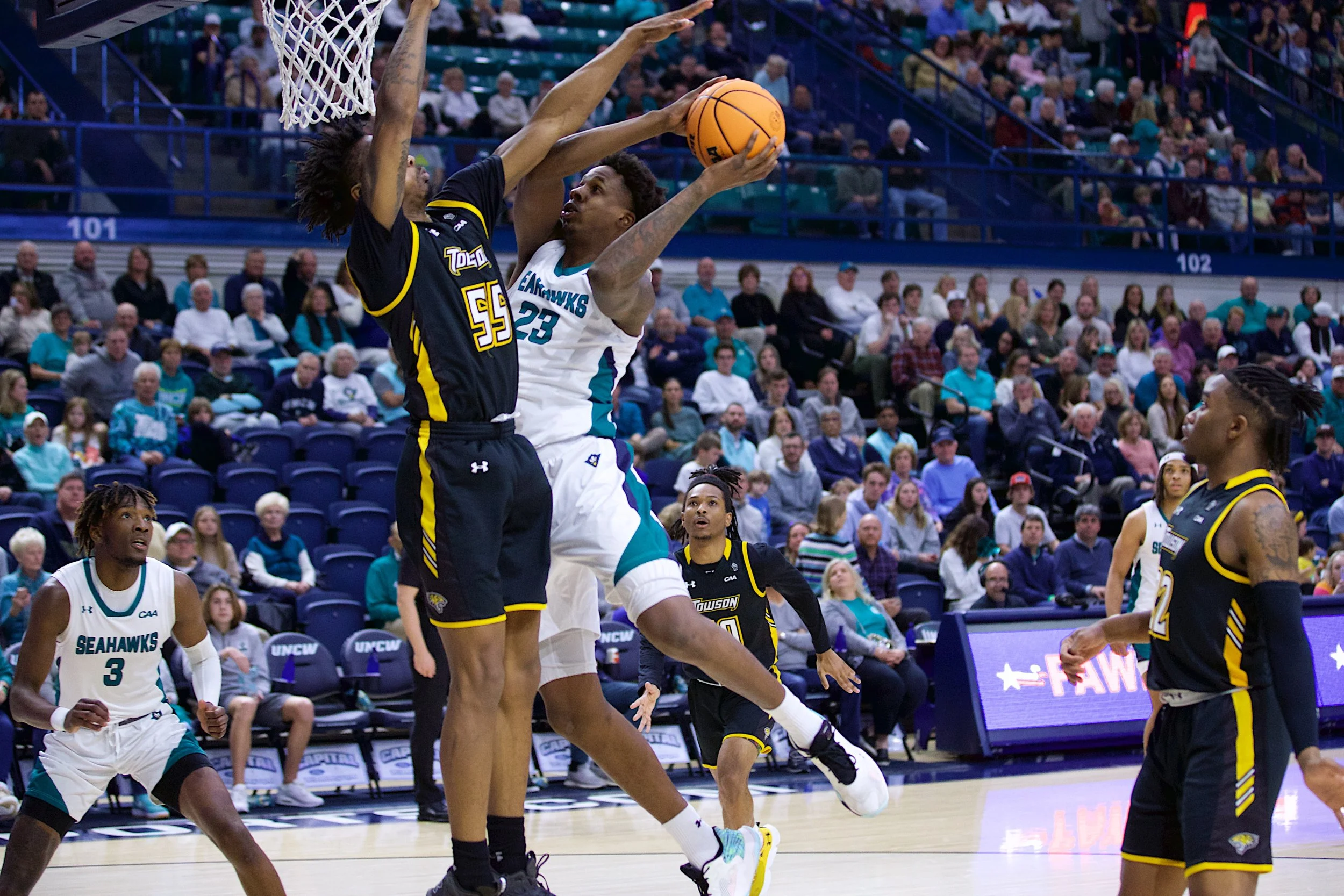 MBB v Towson 5031.jpg