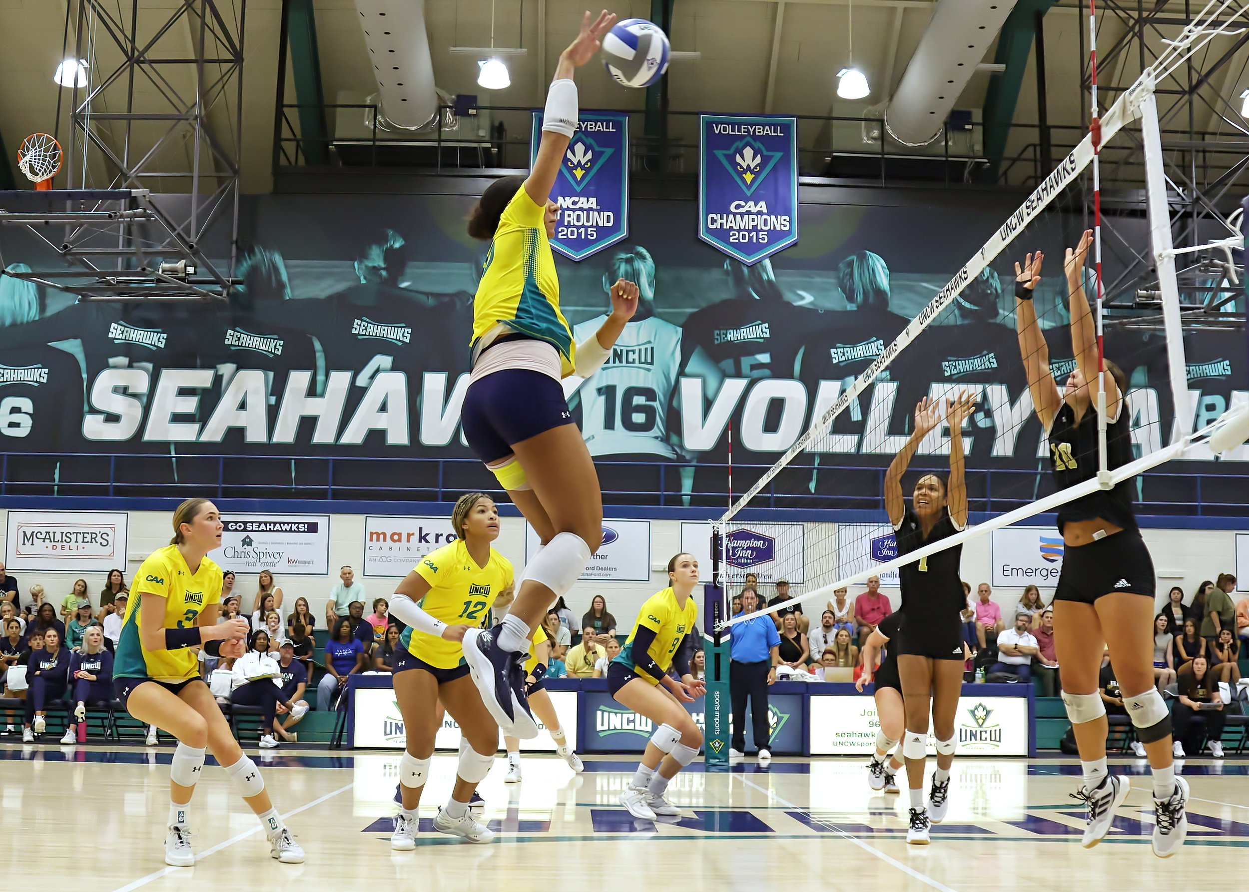 UNCW VB v Queens8113DMN.jpg