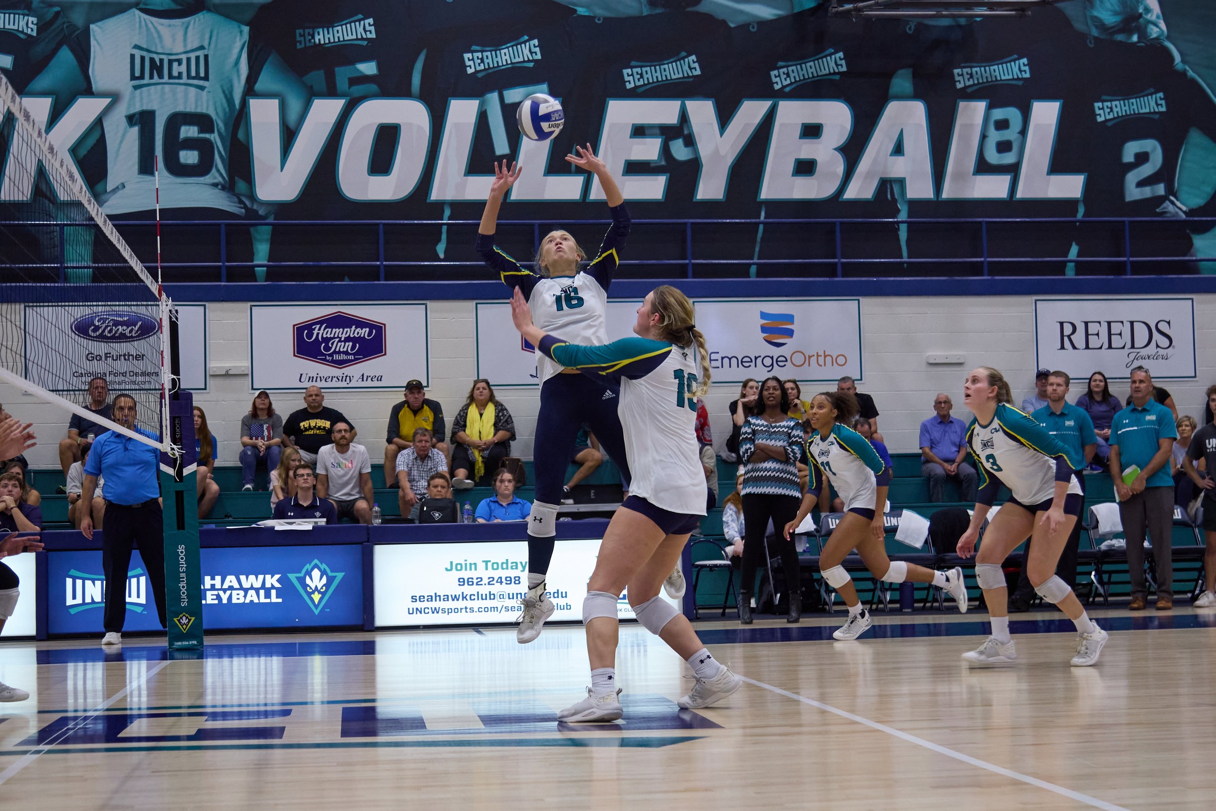 VB v Towson 5640.jpg