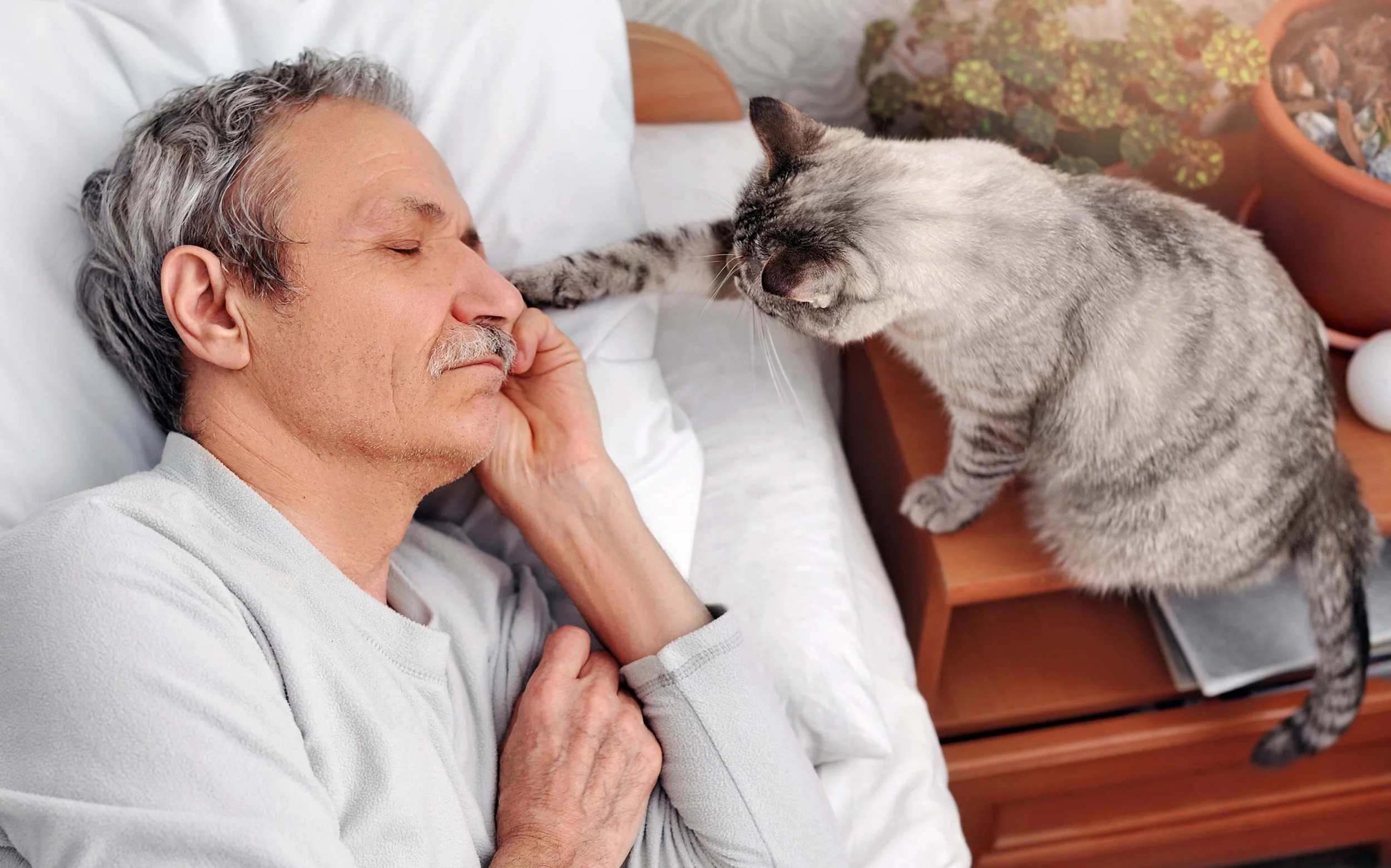 How to Build a Cat-Friendly Morning Routine