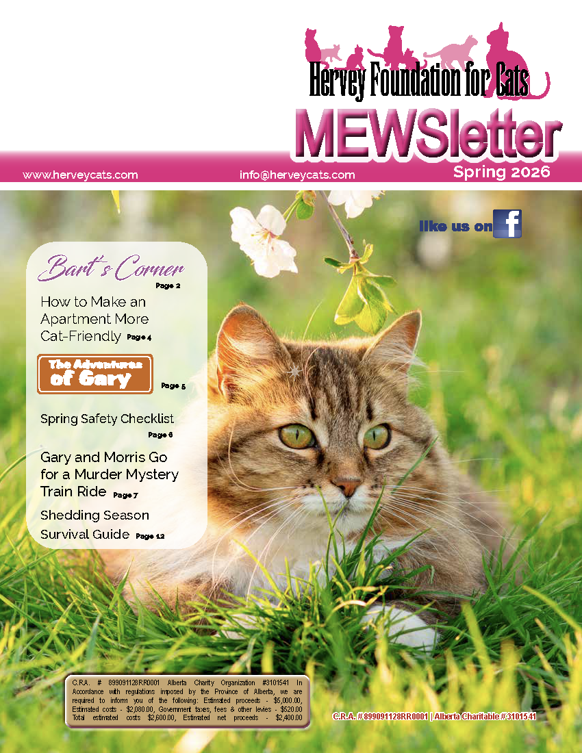 Spring 2026 Newsletter