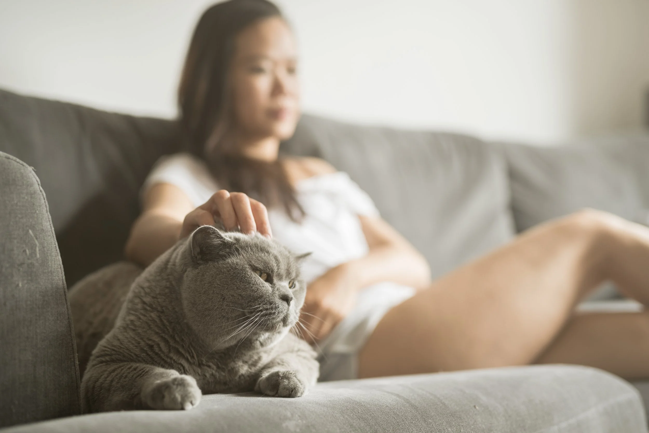 How Your Mood Affects Your Cat