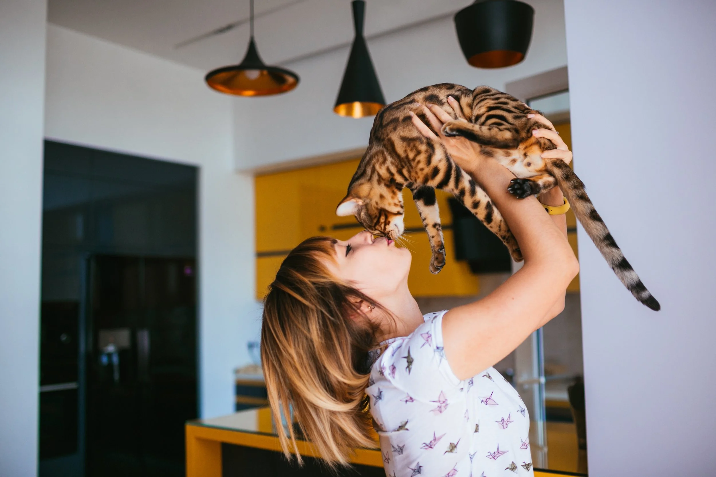 The Most Common Mistakes New Cat Owners Make