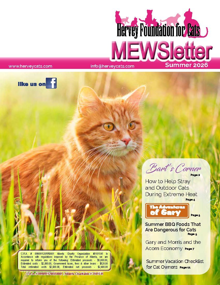 Summer 2026 Newsletter