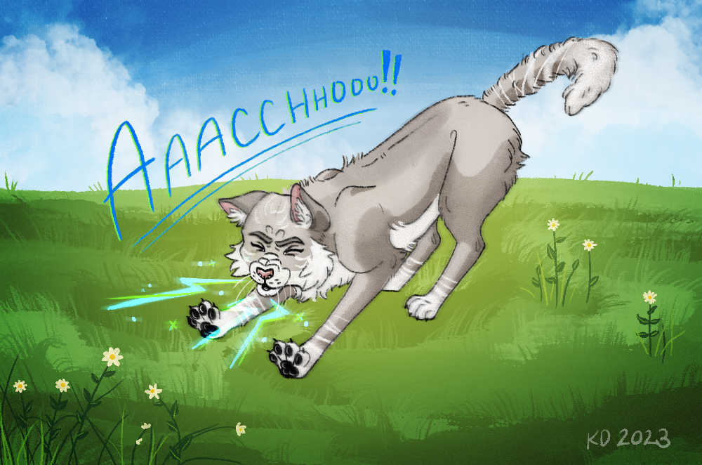 Summer Allergies in Cats How to Spot the Symptoms — The Hervey