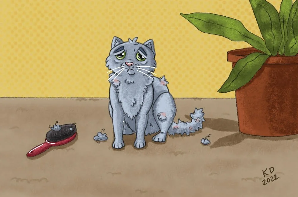 How to Gently Remove Clumping/Matting in Your Cat’s Fur — The Hervey