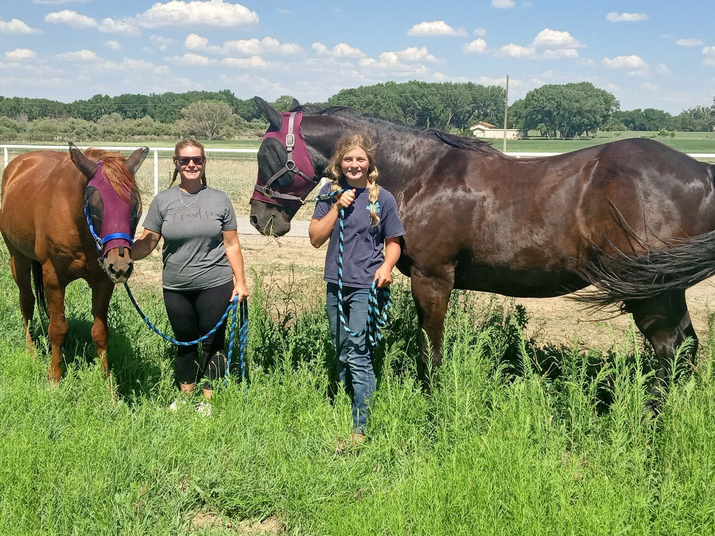 Recent Adoptions — Four Corners Equine Rescue