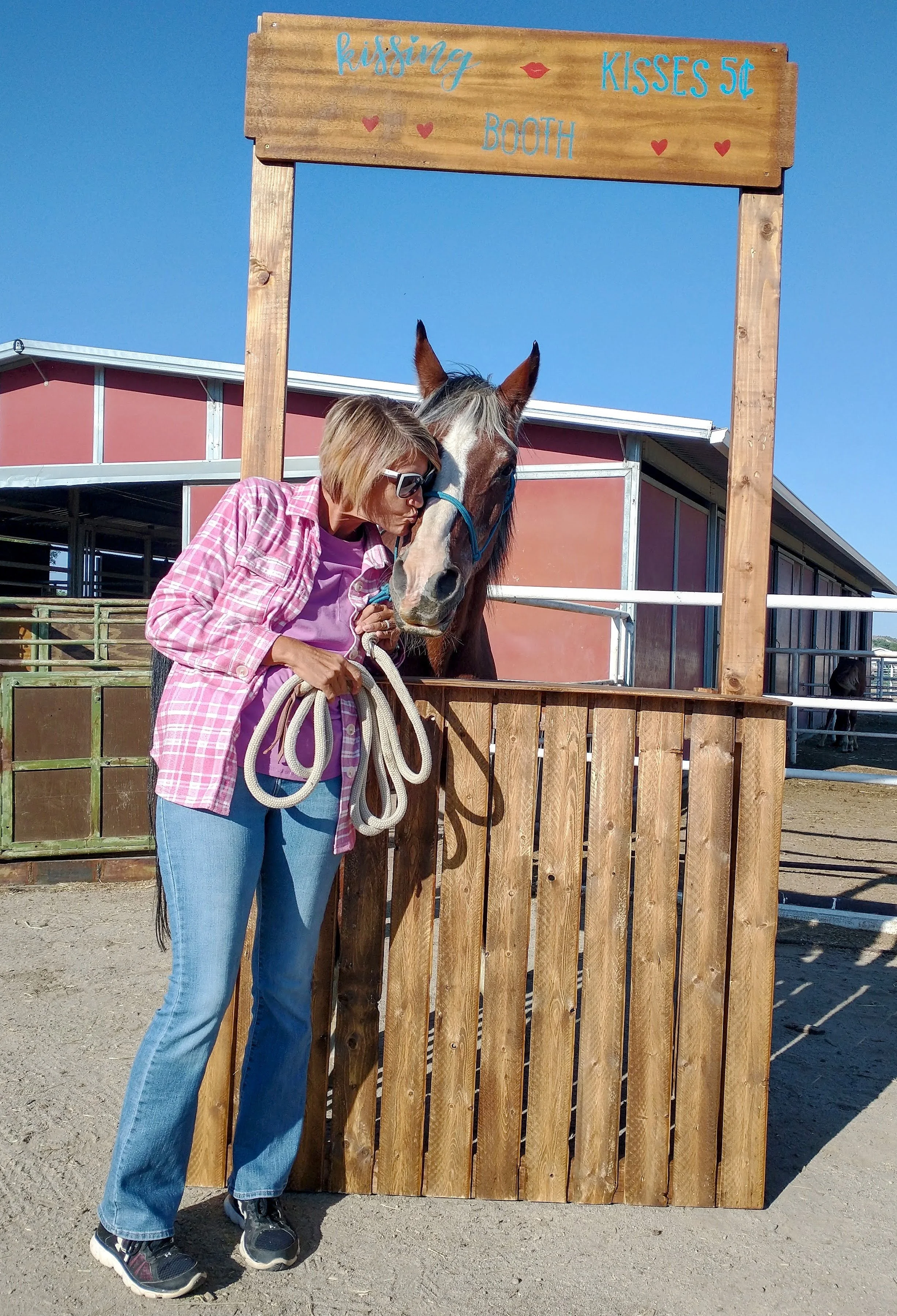 2nd Annual Hug a Horse Day!