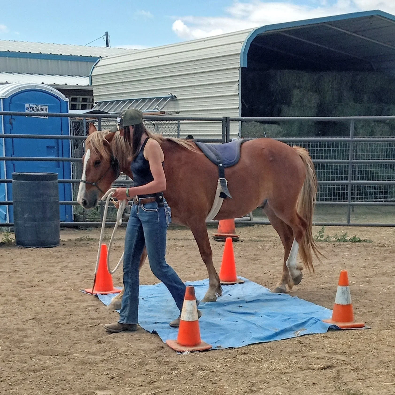 Adopt — Four Corners Equine Rescue
