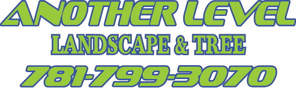 Another Level Landscape & Tree