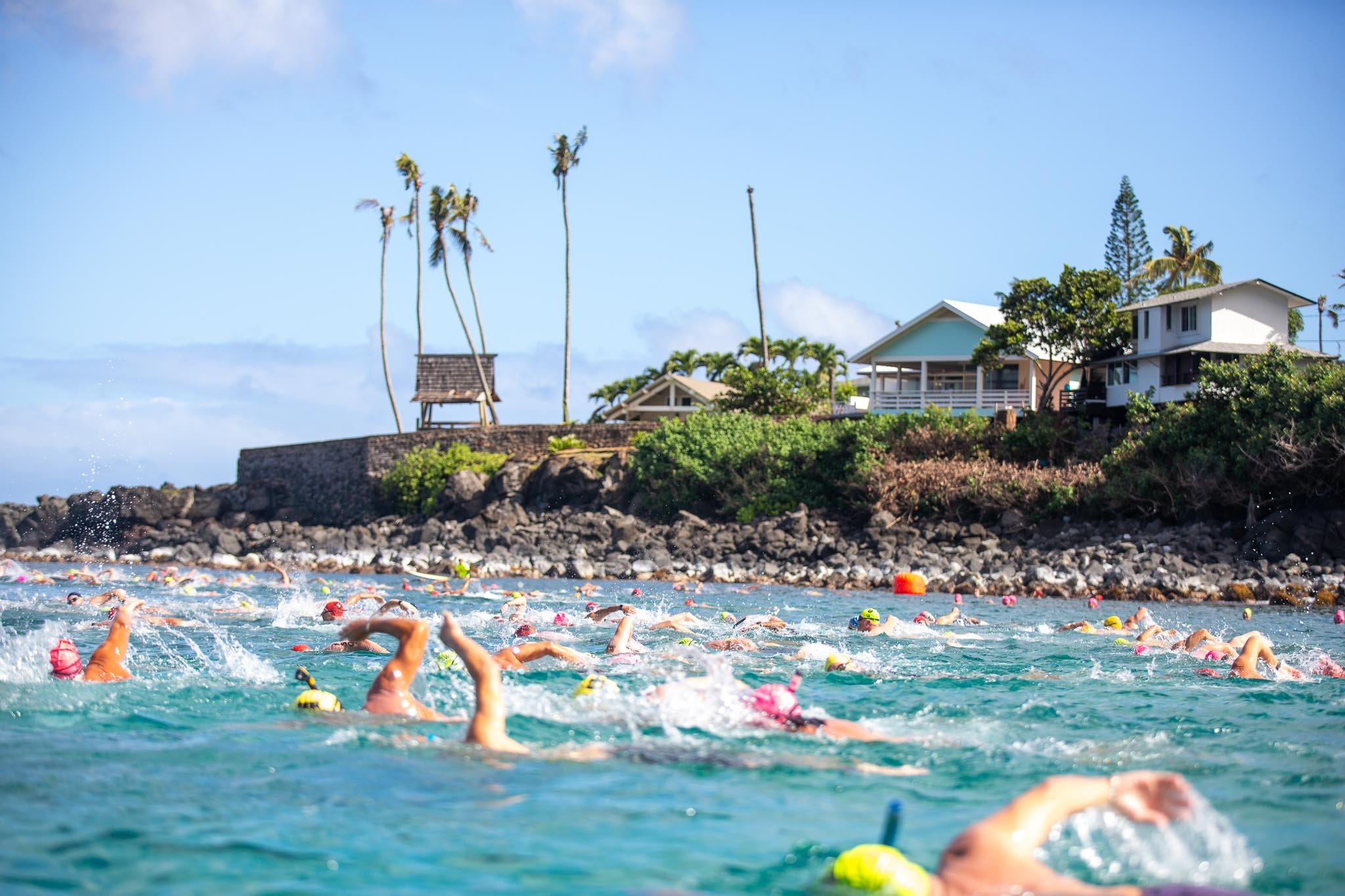 2025 North Shore Swim Series (Waimea Bay)
