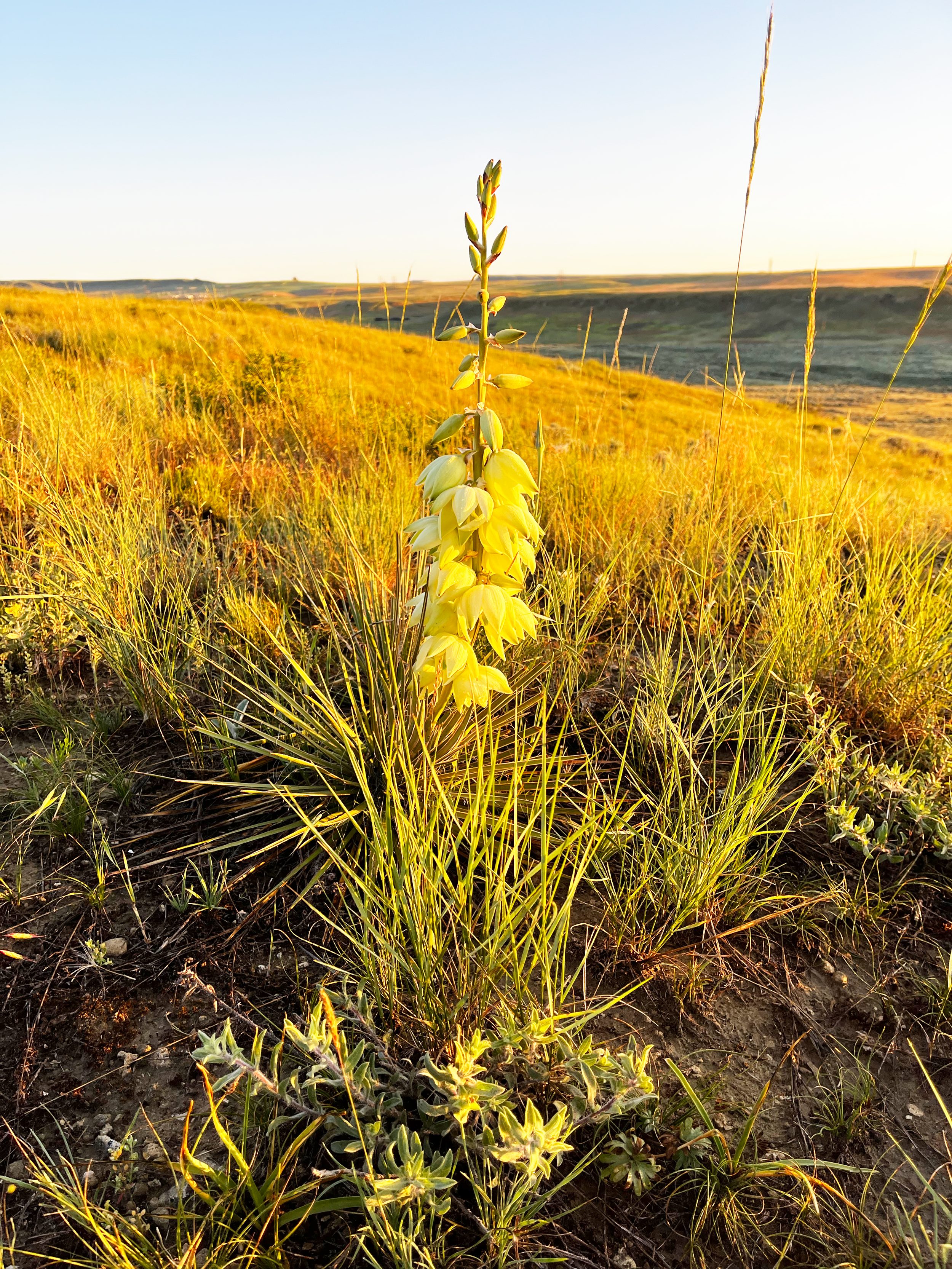 SPRING 2026 NEWSLETTER