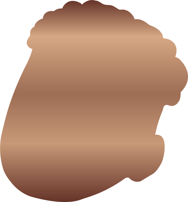 The Bronze Package