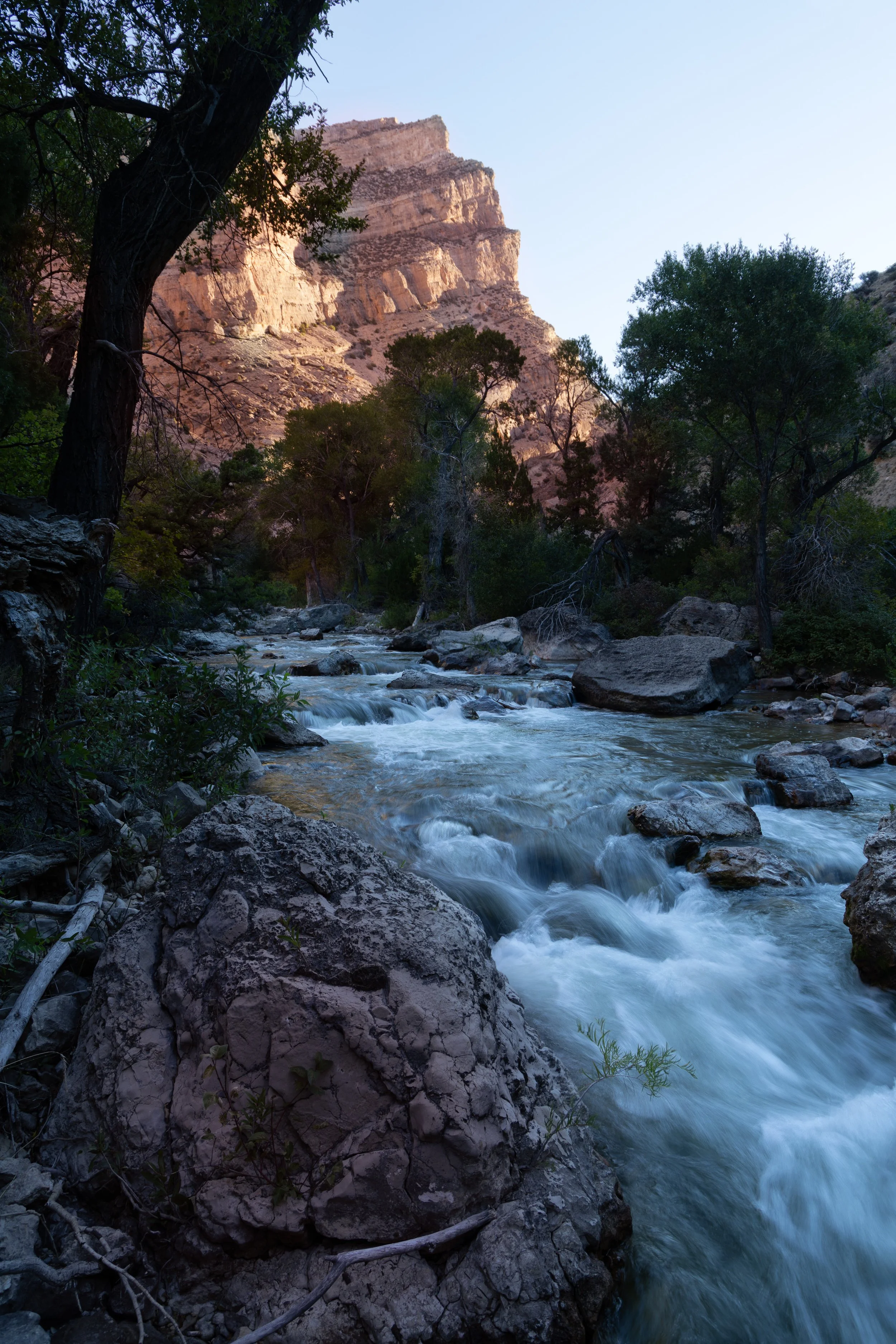 _R5_7736-Edit.jpg