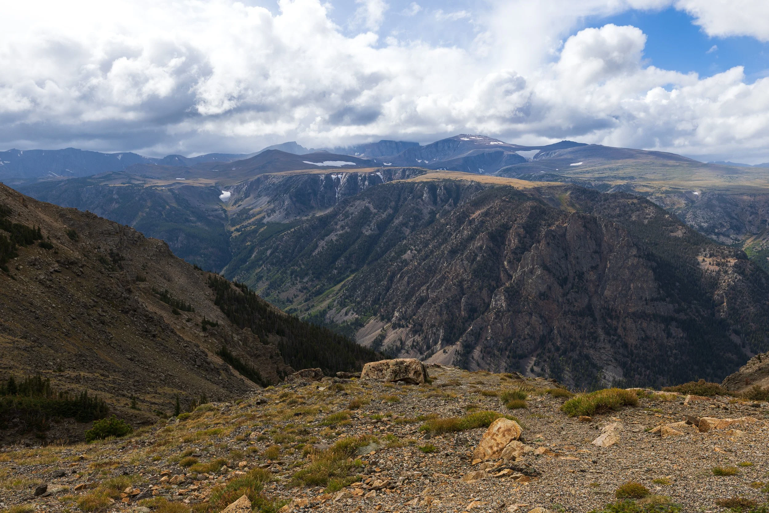 _R5_7832.jpg