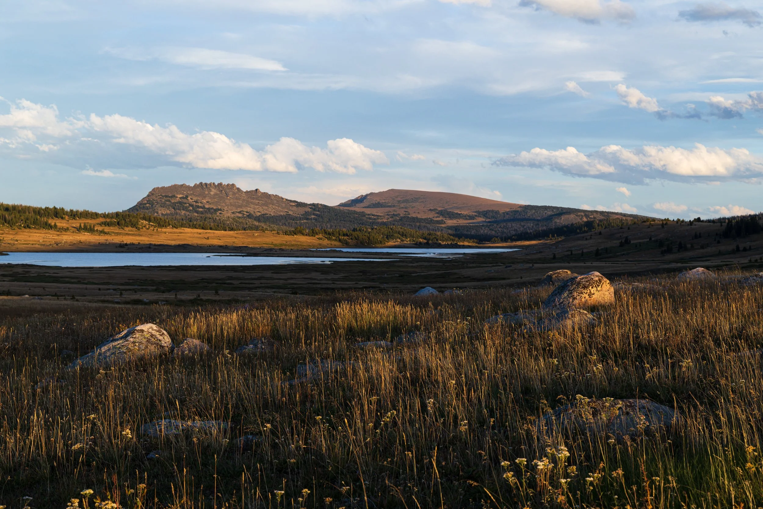 _R5_8044.jpg