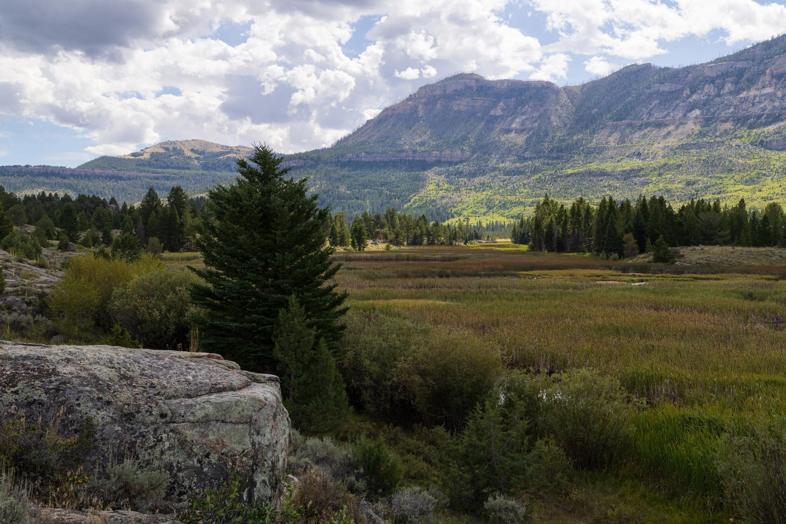 _R5_7962-HDR.jpg