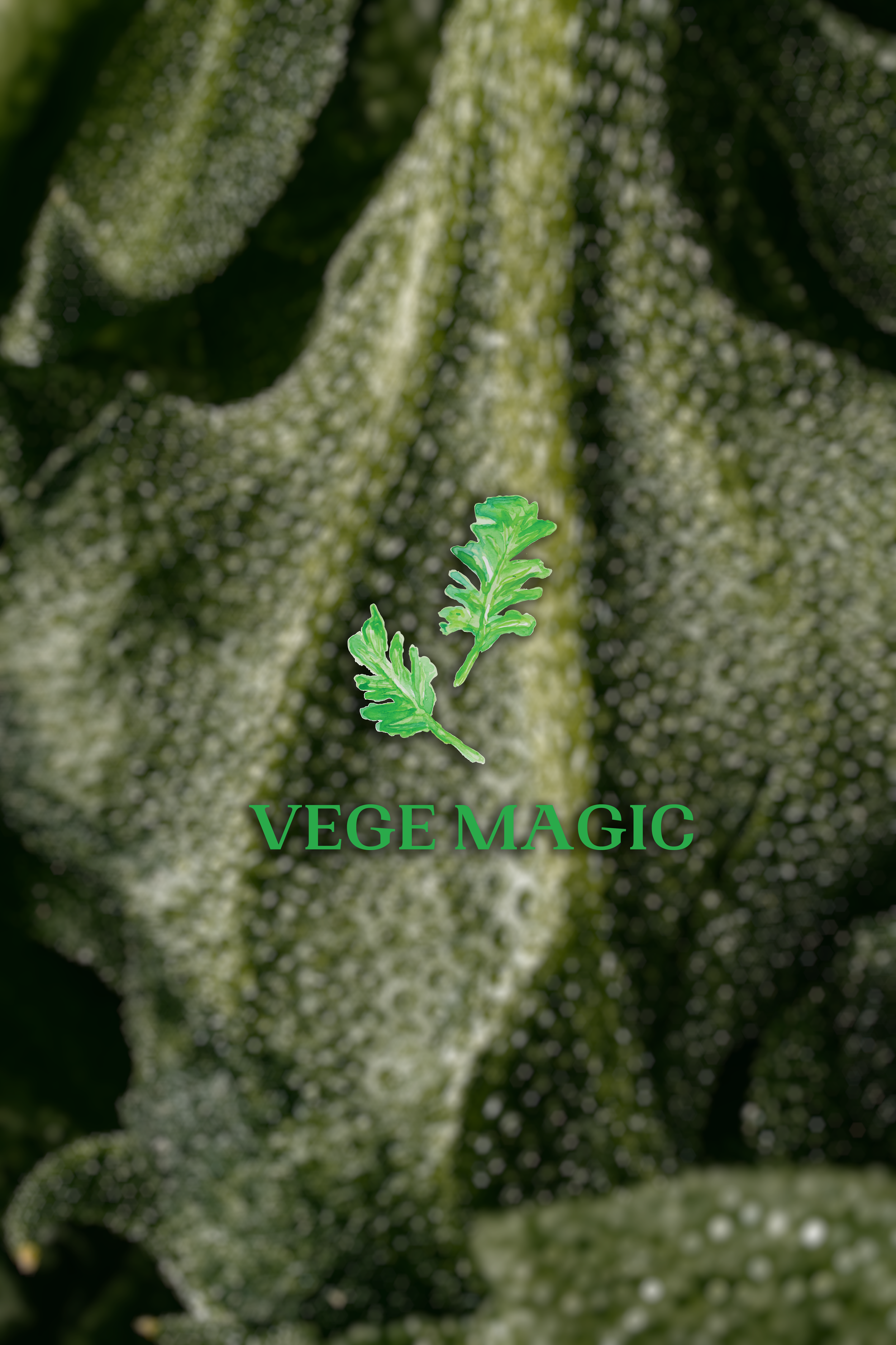 Vege Magic Brand Video