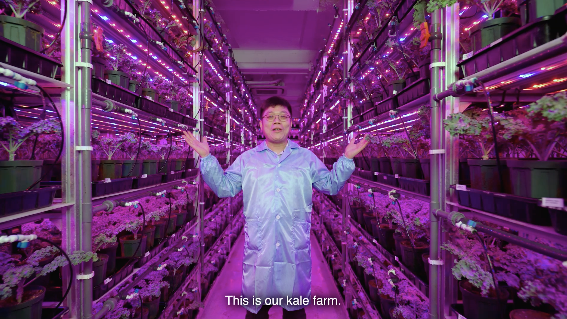 Vege Magic Brand Video